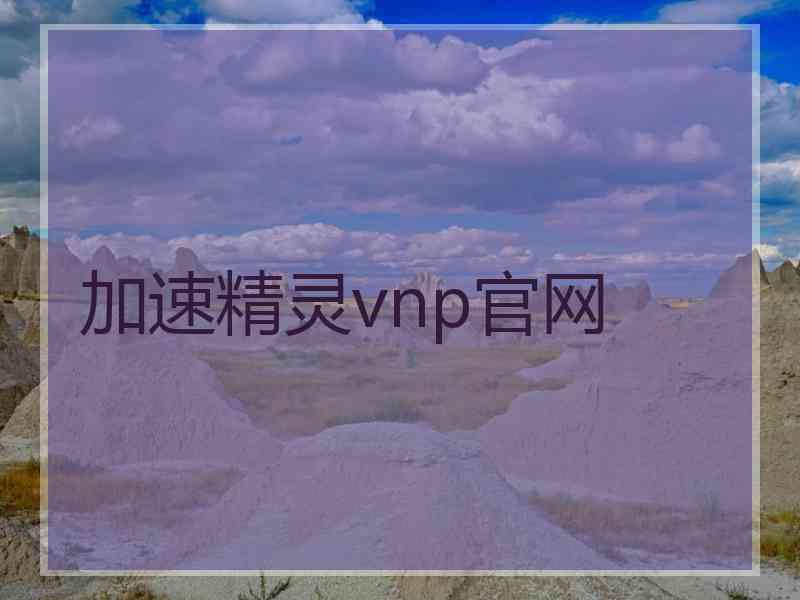 加速精灵vnp官网