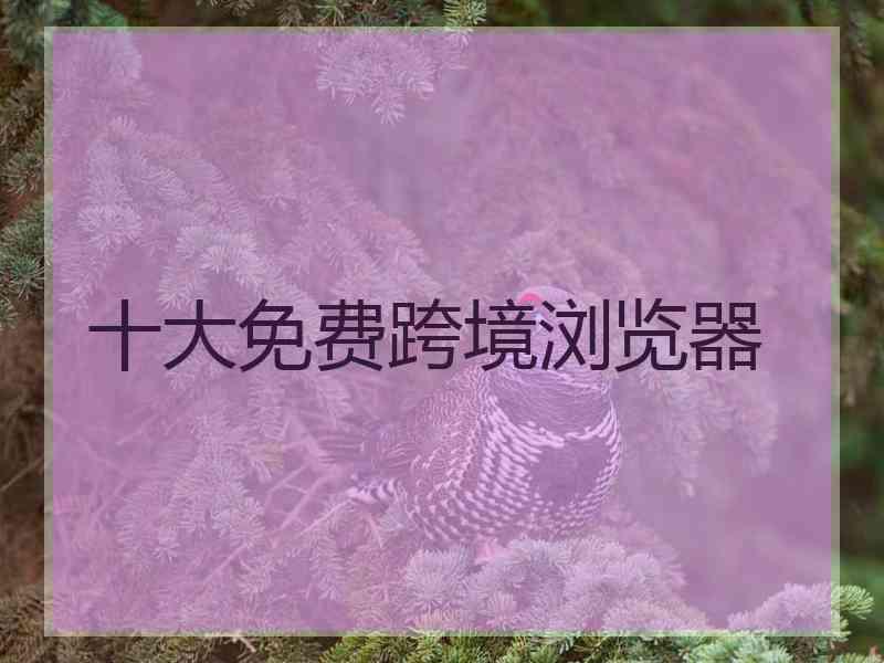十大免费跨境浏览器