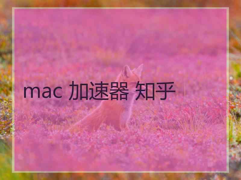 mac 加速器 知乎