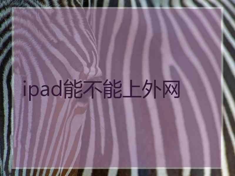 ipad能不能上外网