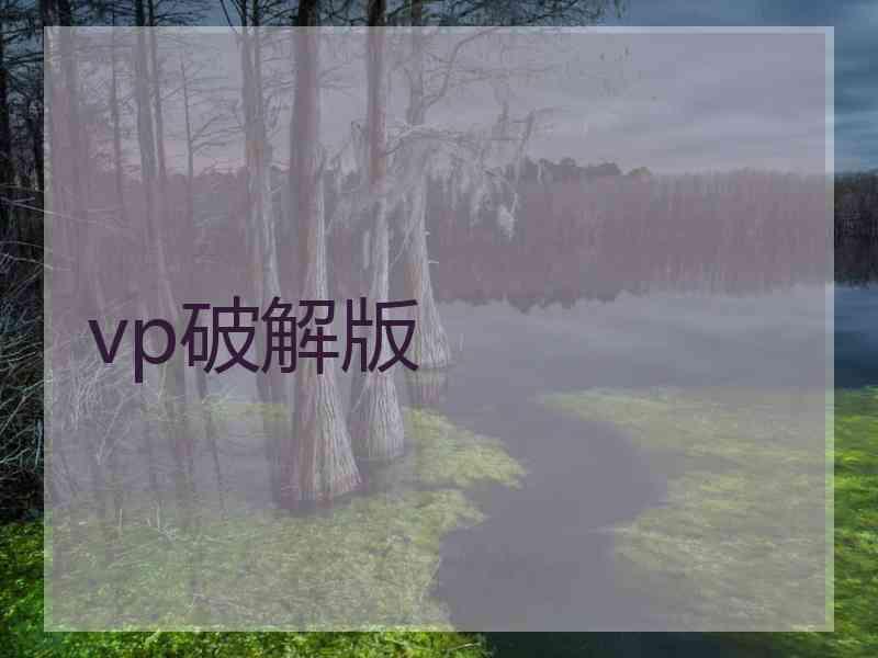 vp破解版