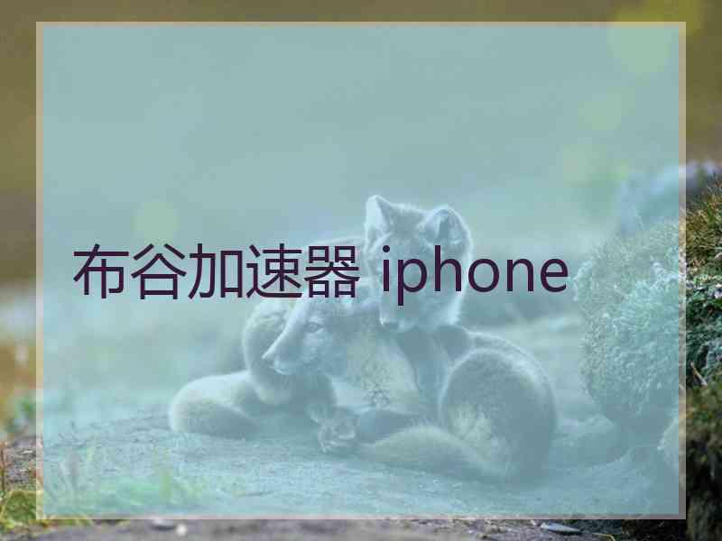 布谷加速器 iphone