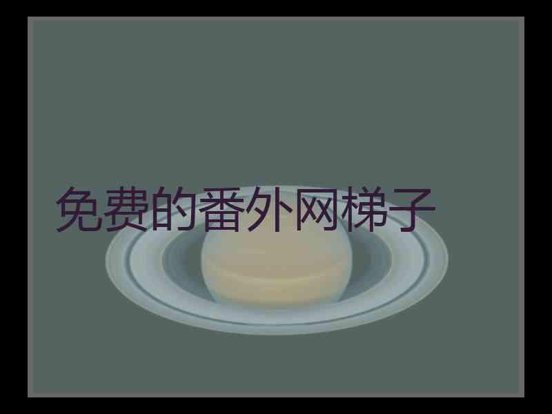 免费的番外网梯子