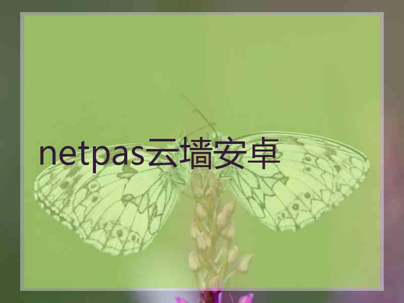 netpas云墙安卓
