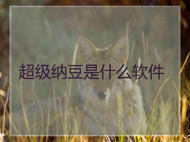 超级纳豆是什么软件