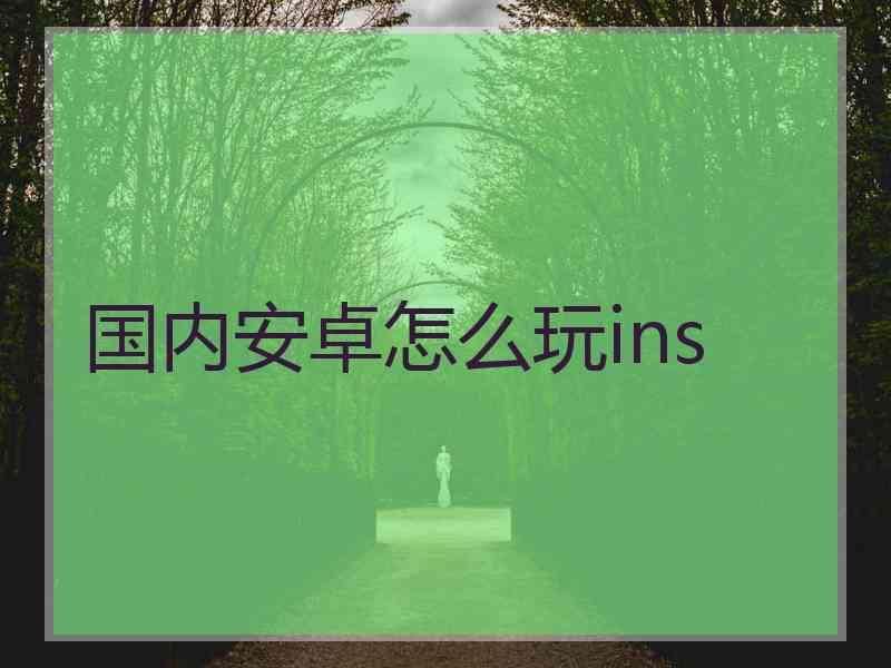 国内安卓怎么玩ins