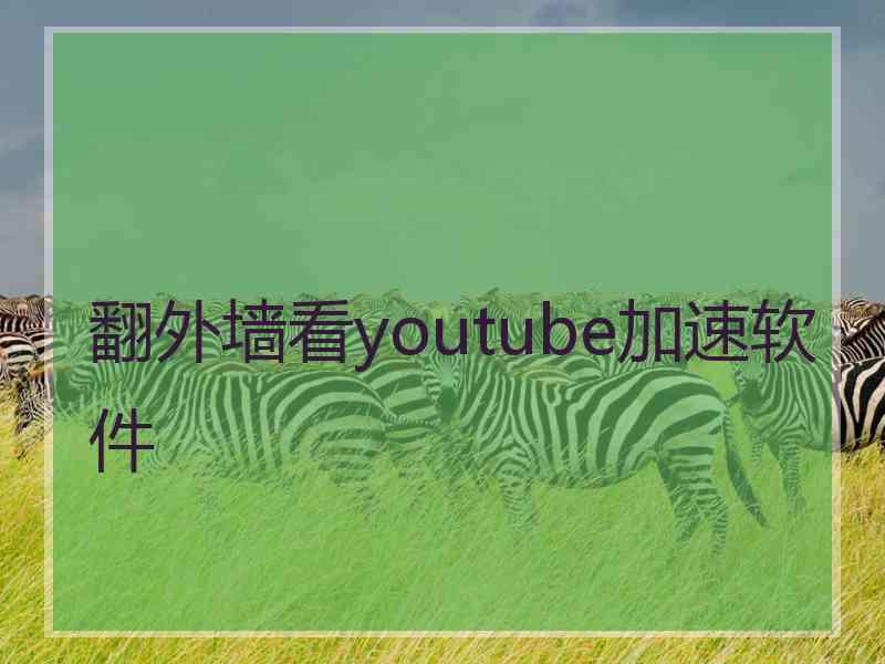 翻外墙看youtube加速软件