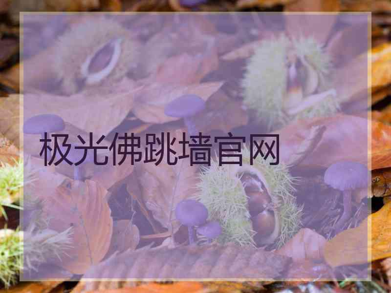 极光佛跳墙官网