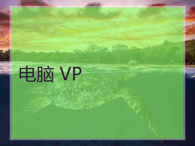 电脑 VP