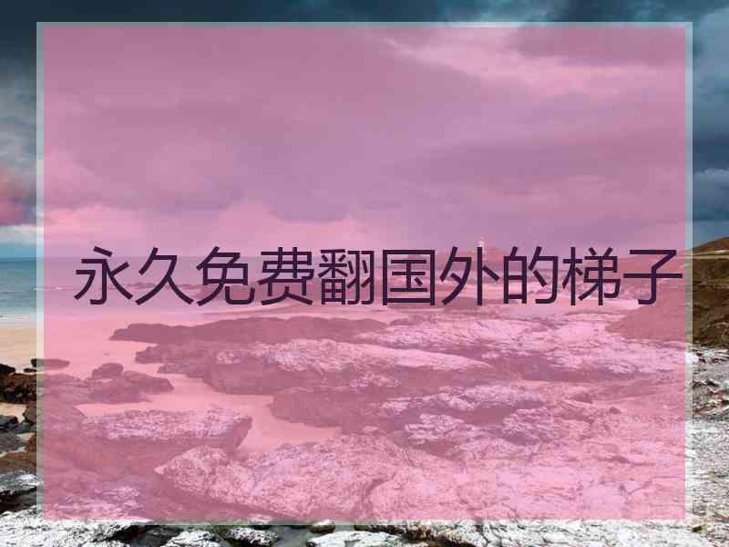 永久免费翻国外的梯子