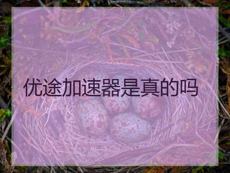 优途加速器是真的吗