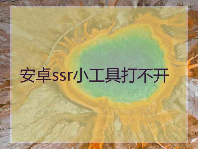 安卓ssr小工具打不开