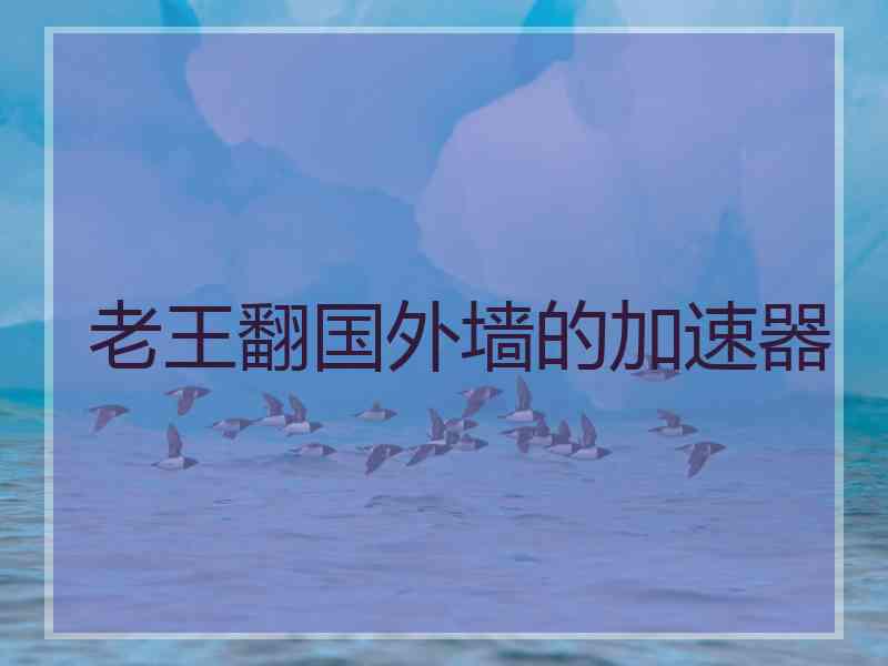 老王翻国外墙的加速器