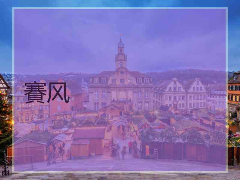 賽风