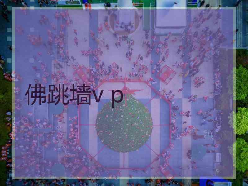 佛跳墙v p