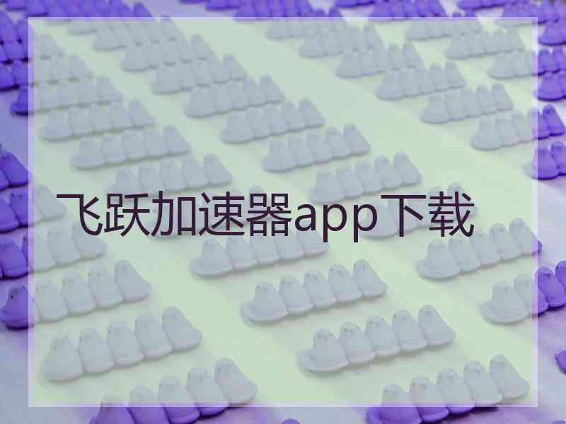 飞跃加速器app下载