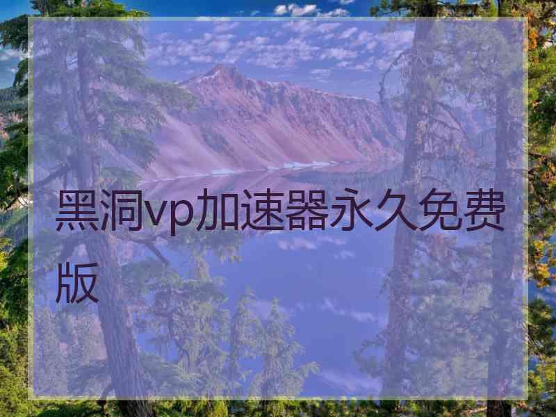 黑洞vp加速器永久免费版