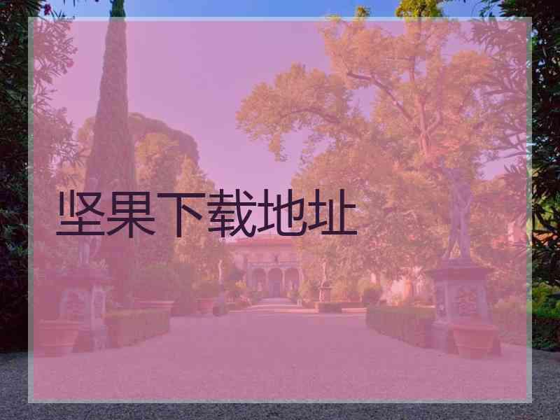 坚果下载地址