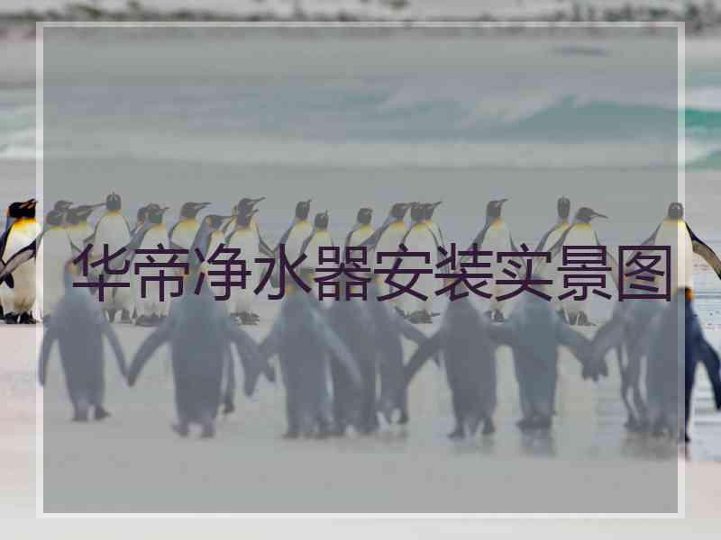 华帝净水器安装实景图