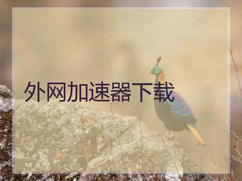 外网加速器下载