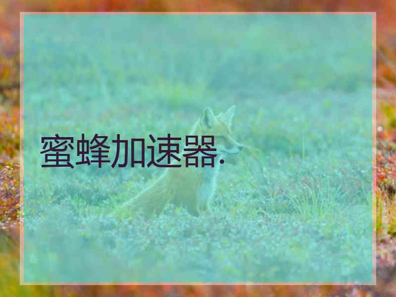 蜜蜂加速器.