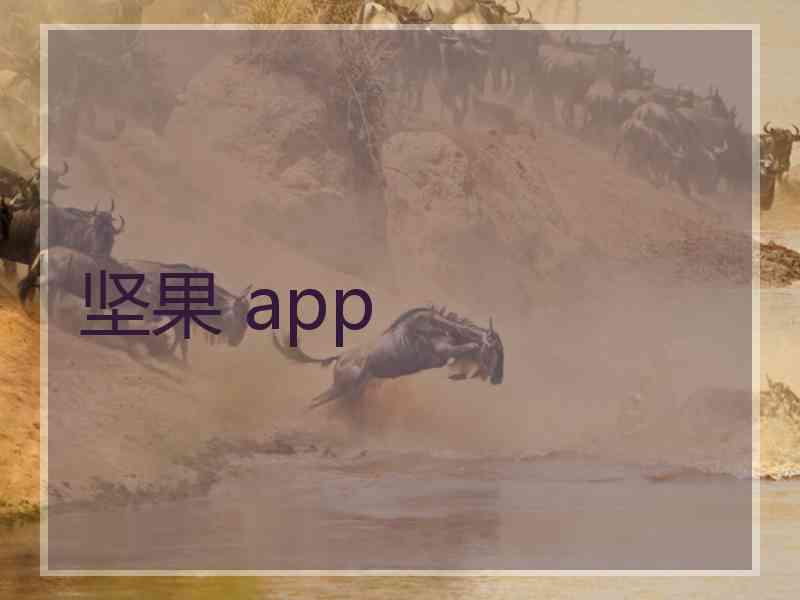 坚果 app