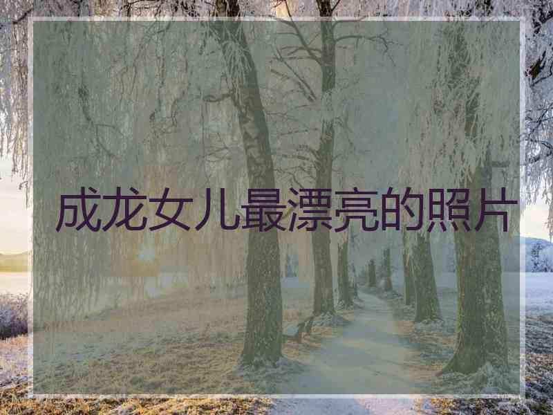 成龙女儿最漂亮的照片