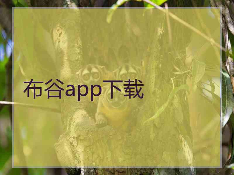 布谷app下载