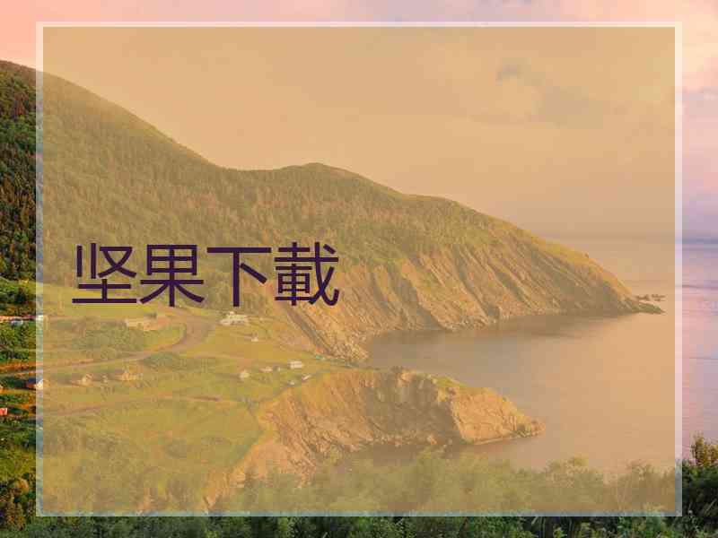 坚果下載