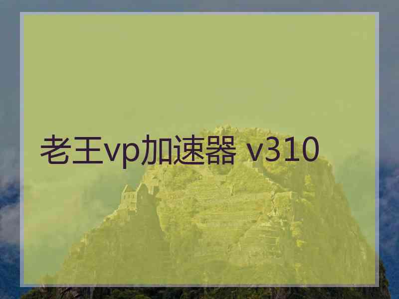 老王vp加速器 v310