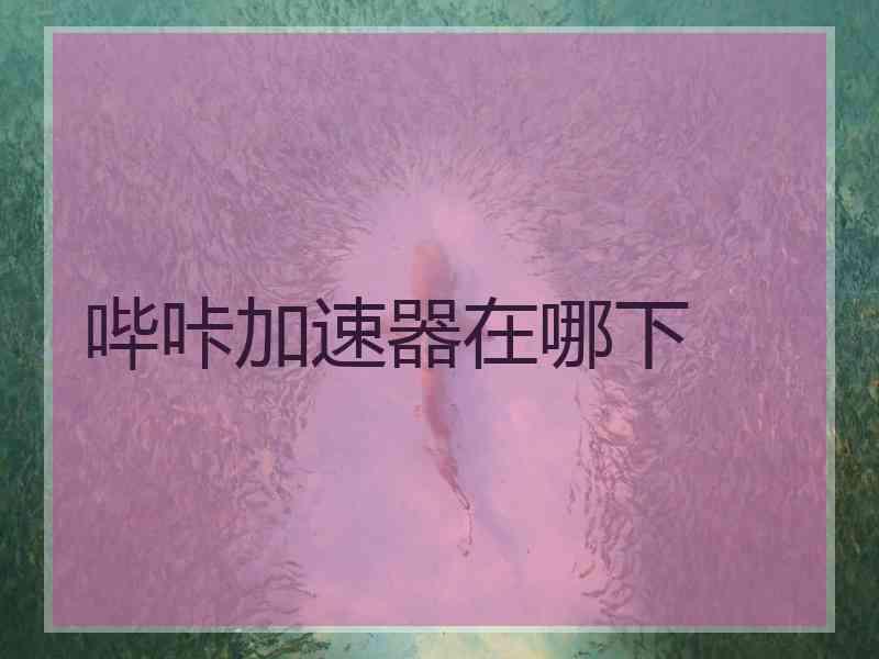 哔咔加速器在哪下