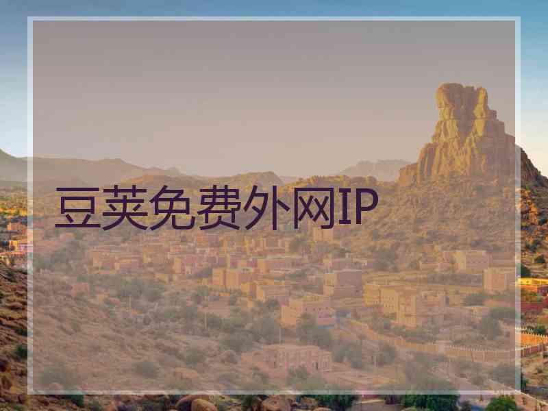 豆荚免费外网IP