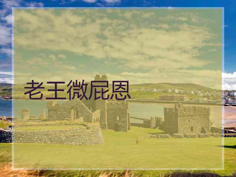 老王微屁恩