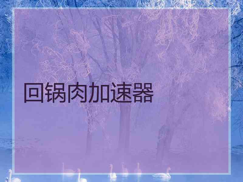 回锅肉加速器