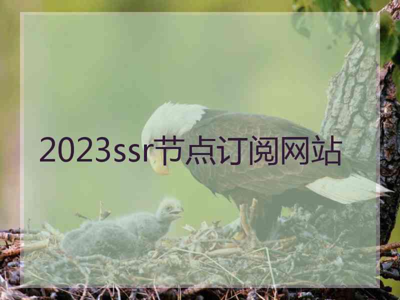2023ssr节点订阅网站