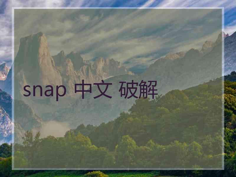 snap 中文 破解