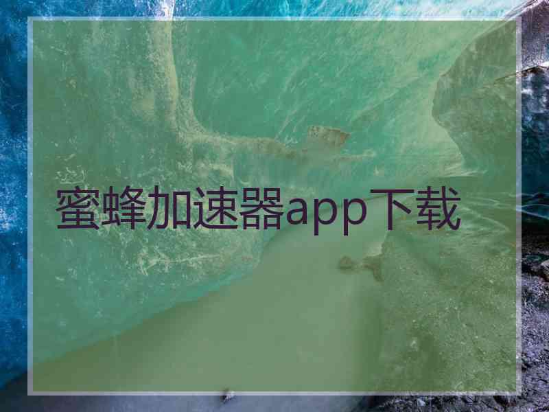 蜜蜂加速器app下载