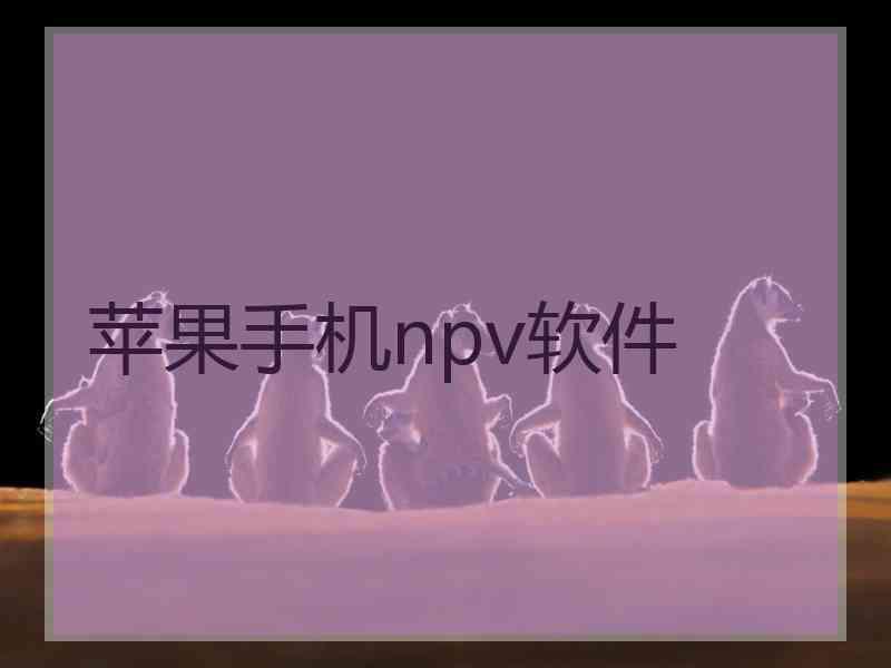 苹果手机npv软件