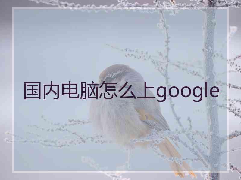 国内电脑怎么上google