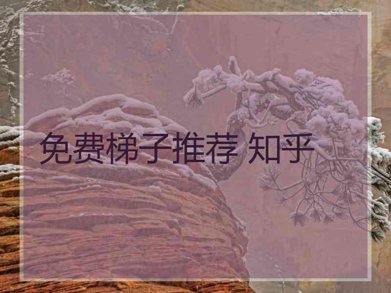 免费梯子推荐 知乎