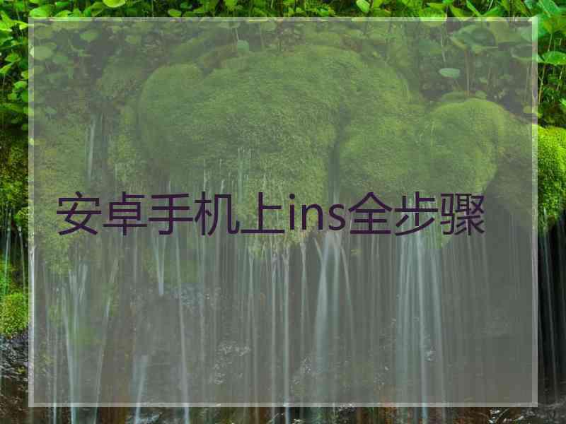 安卓手机上ins全步骤