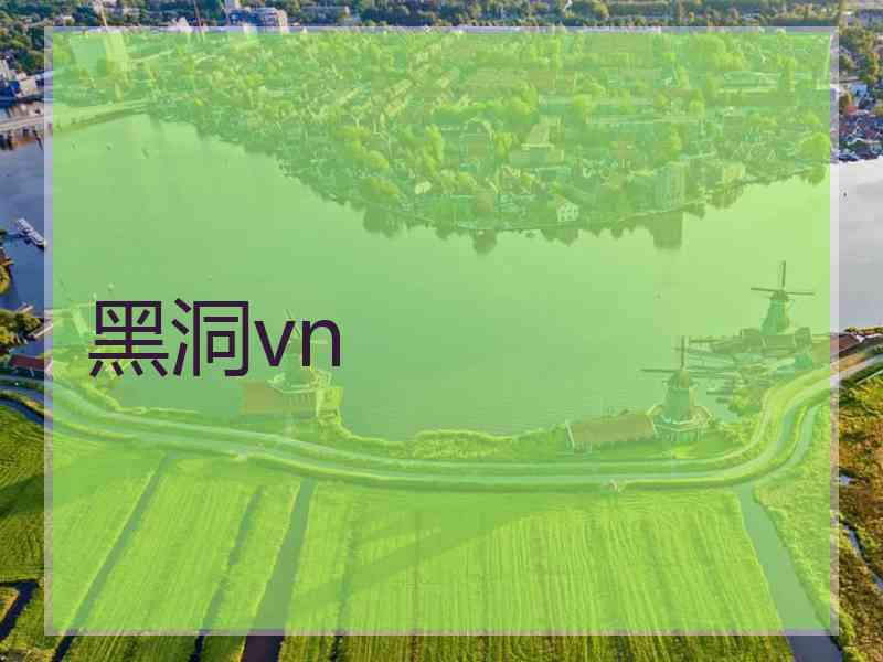 黑洞vn