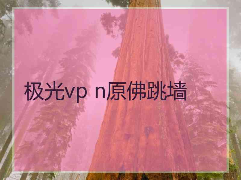 极光vp n原佛跳墙