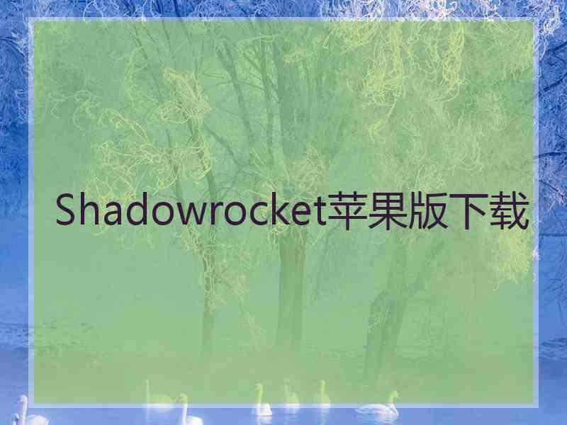 Shadowrocket苹果版下载