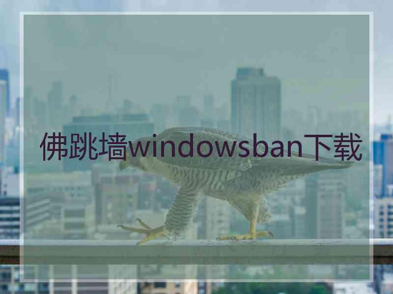 佛跳墙windowsban下载
