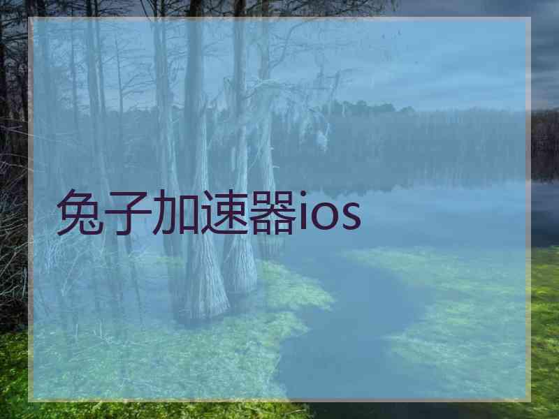 兔子加速器ios