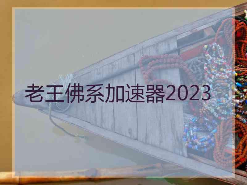 老王佛系加速器2023