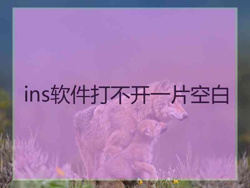 ins软件打不开一片空白