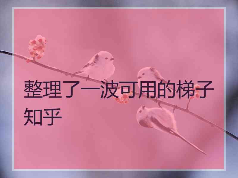 整理了一波可用的梯子知乎