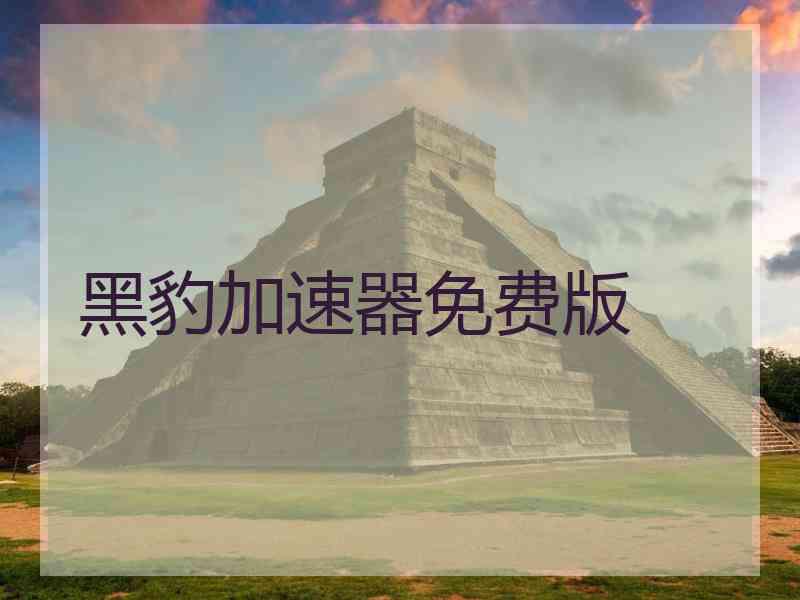 黑豹加速器免费版